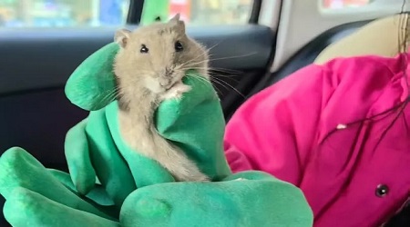 给孩子选礼物攻略:不同年龄的孩子,对礼物的需求也不一样